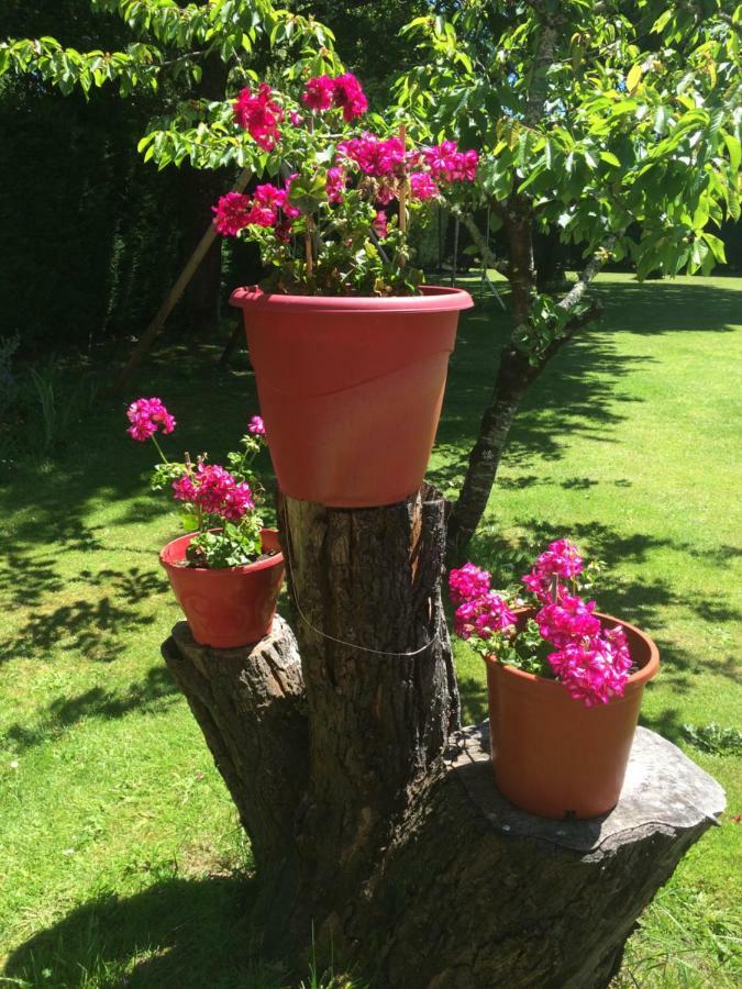 Bed and Breakfast La Mimona Sainte-Eulalie-en-Born Exterior foto